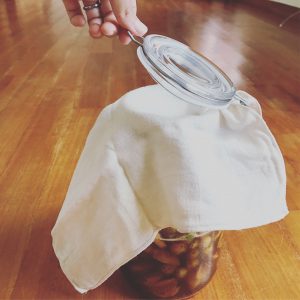 梅酵素ジュースの瓶に布で蓋をする様子2