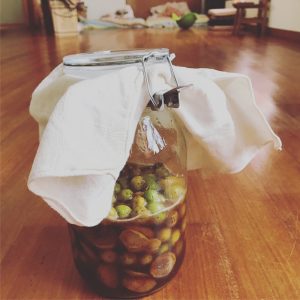 梅酵素ジュースの瓶に布で蓋をする様子3