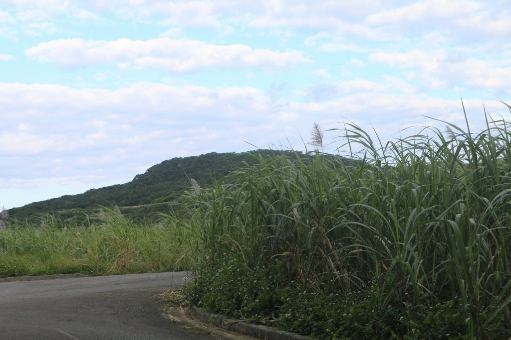 久米島の散歩風景