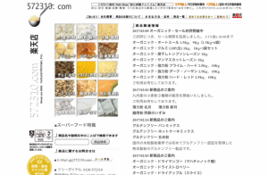 572310サイトの様子
