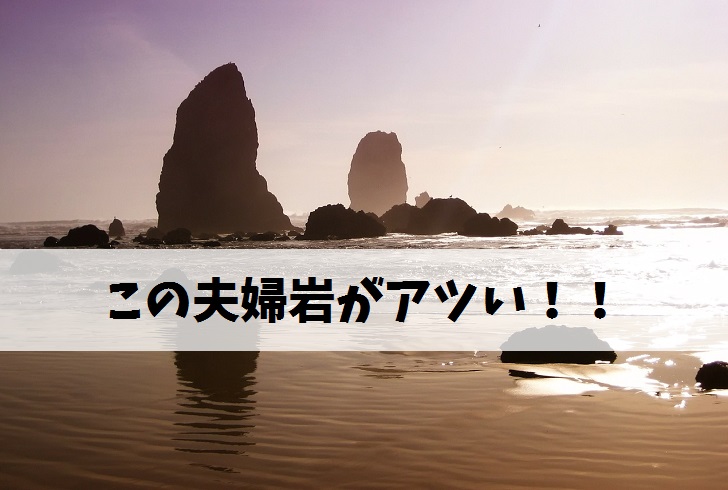 ご夫妻 ご夫婦 夫妻と夫婦の違いとは 敬語から意味 使い方まで ３つの使い分けポイントを夫婦ブロガーがズバッと解説 毎日が生まれたて