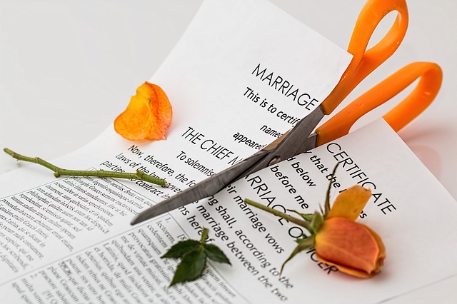 破かれた結婚契約書