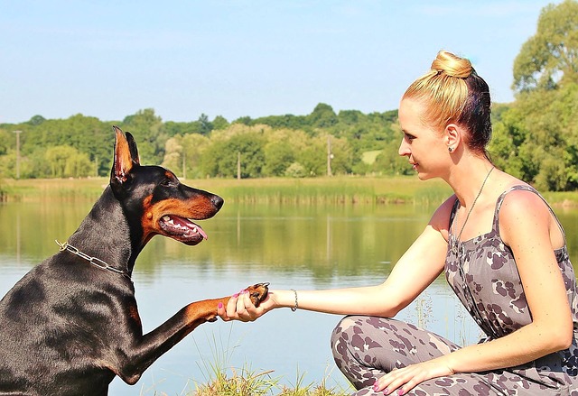 握手をする女性と犬