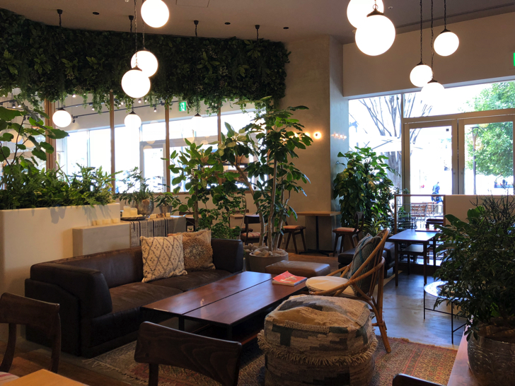 緑に包まれたスイートルーム Naak Cafe ナークカフェ はインテリア専門店による最高のオシャレ空間 千葉県 流山おおたかの森s C 毎日が生まれたて