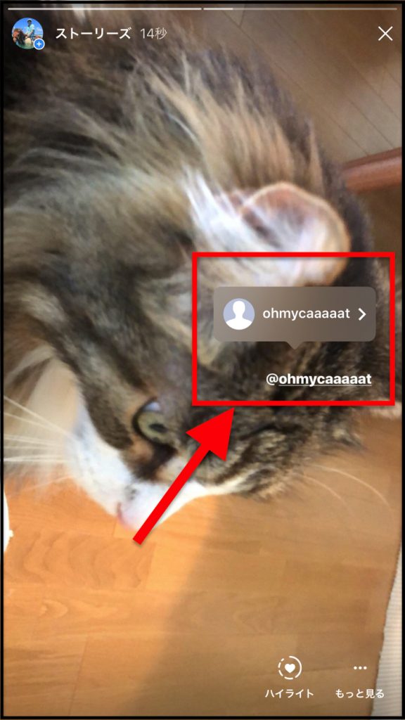 インスタのタグ付け