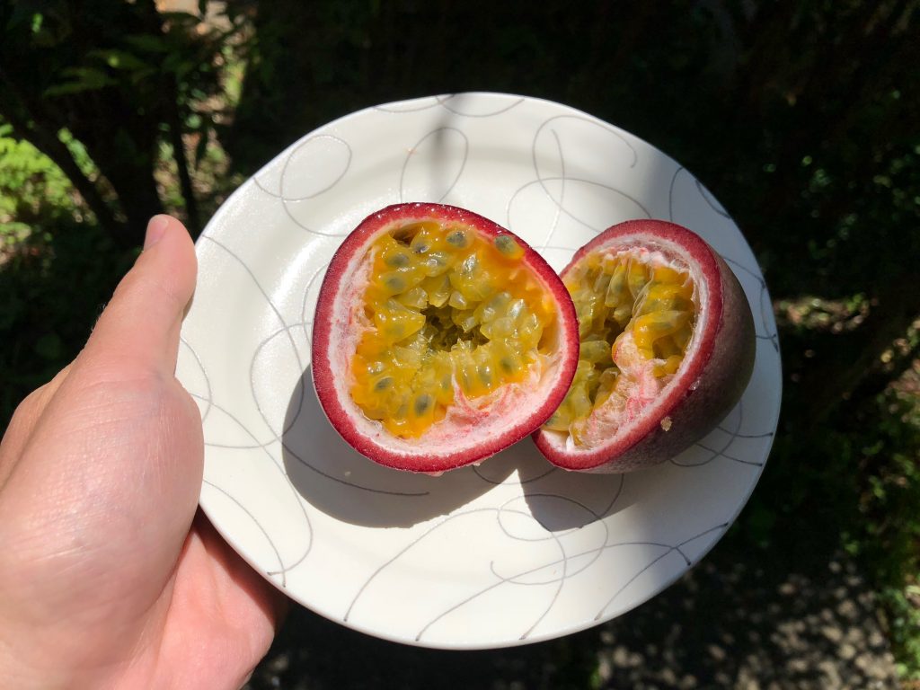 パッションフルーツ