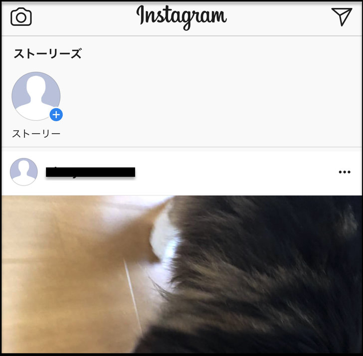 igtvなし