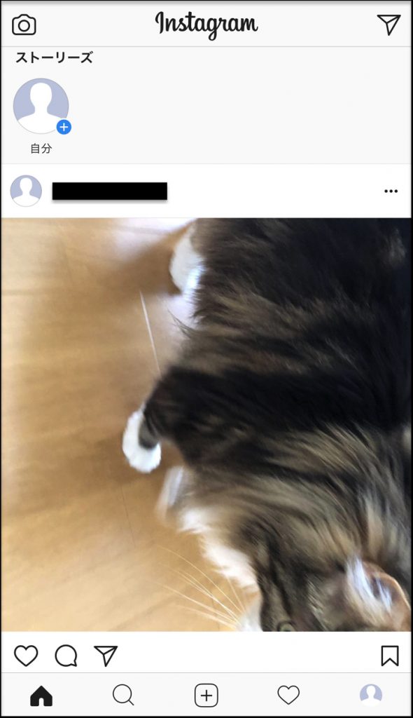 インスタ投稿