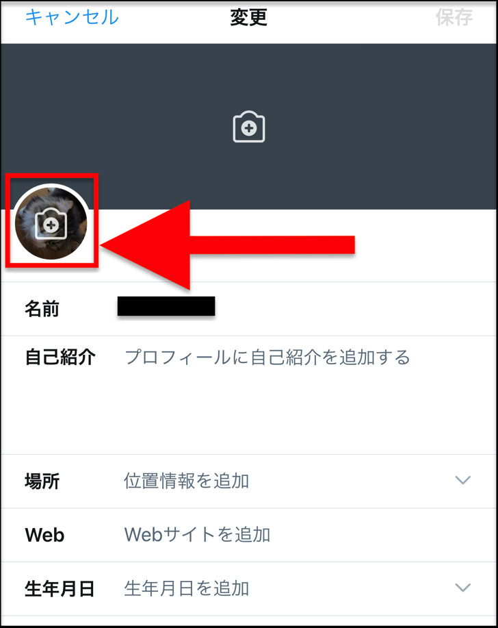 ツイッターのアイコン画像サイズって トプ画をかんたんに作成 変更する方法まとめ Twitterプロフィール写真 サムネイル 毎日が生まれたて