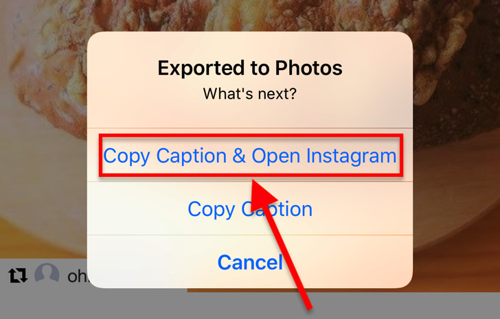 copy caption and open instagram