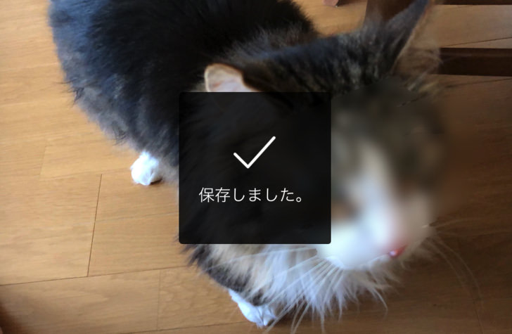 保存しました