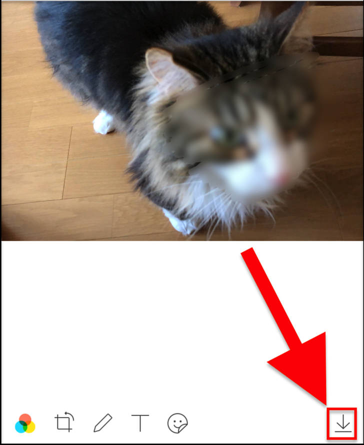 ↓マーク