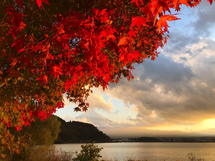 紅葉した河口湖と富士山