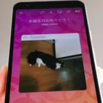 Android版Instagramで誕生日のストーリー