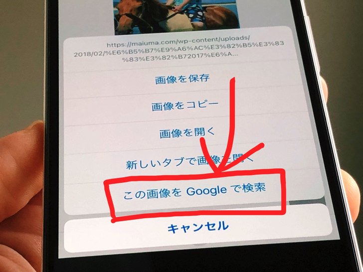 Safariでできる Iphoneでgoogle画像検索のやり方と画像検索できない3つの原因 毎日が生まれたて