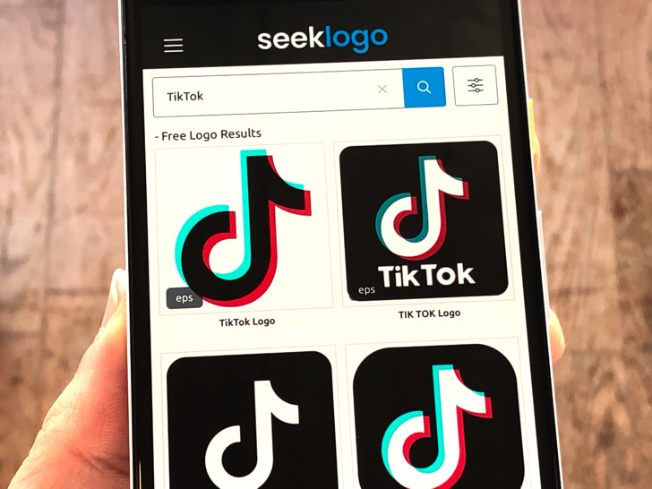 seeklogoでTikTokを検索